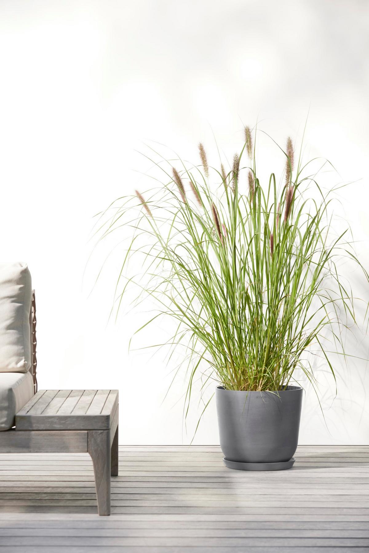 BLUMENTOPF Oslo 25/21,8 cm Grau - Grau, Kunststoff (25/21.8cm) - Ecopots