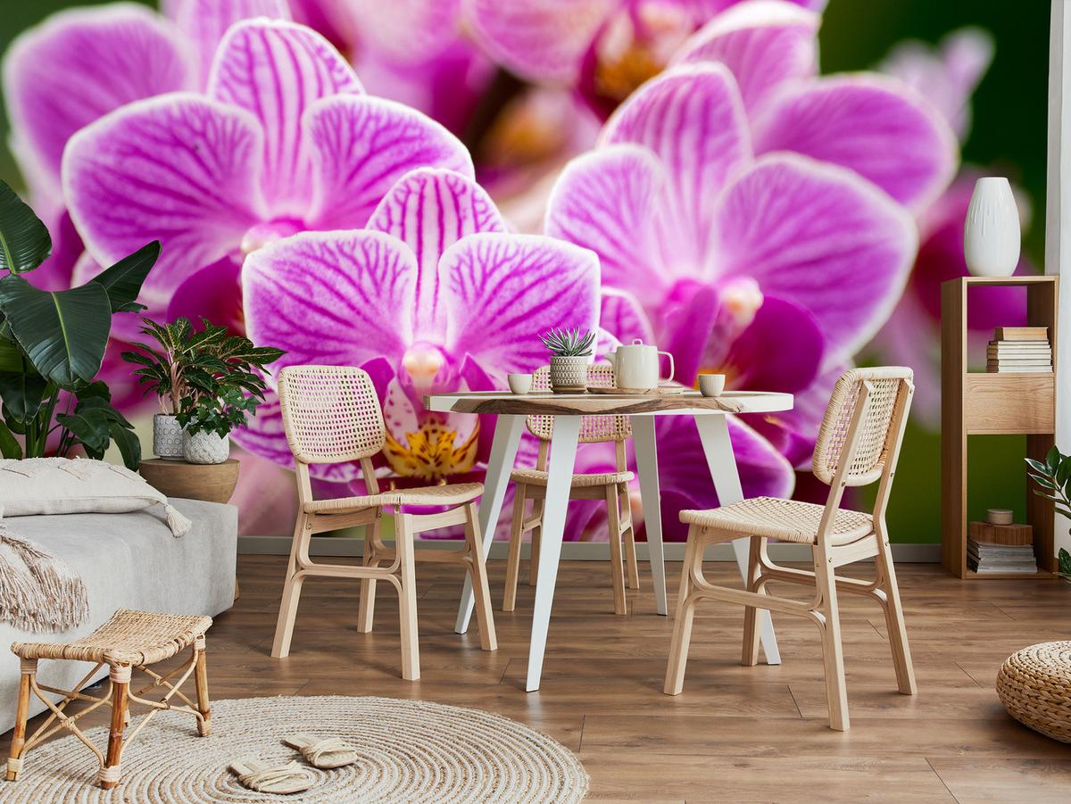 FOTOTAPETE für Wohnzimmer Violetter Orchideenstrauß Blumen 100x70 - Violett/Rosa, Papier (100/70cm) - Muralo