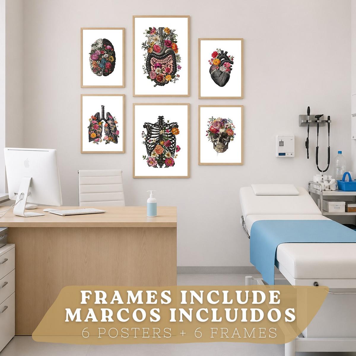 POSTER Set aus 6 Botanische Anatomie Drucke mit Herz Lungen Wirbelsäule Becken und Rippen Beige Terrakotta Erdtöne Leichter Holzrahmen A3 & A4 - Beige, Papier (21/29.7/3cm) - Nacnic
