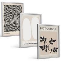 BILDER SET 3er Set - 40x60 cm Silberner Rahmen - Pflanzenmuster und Linien - Silberfarben, Kunststoff (40/60cm) - TULUP