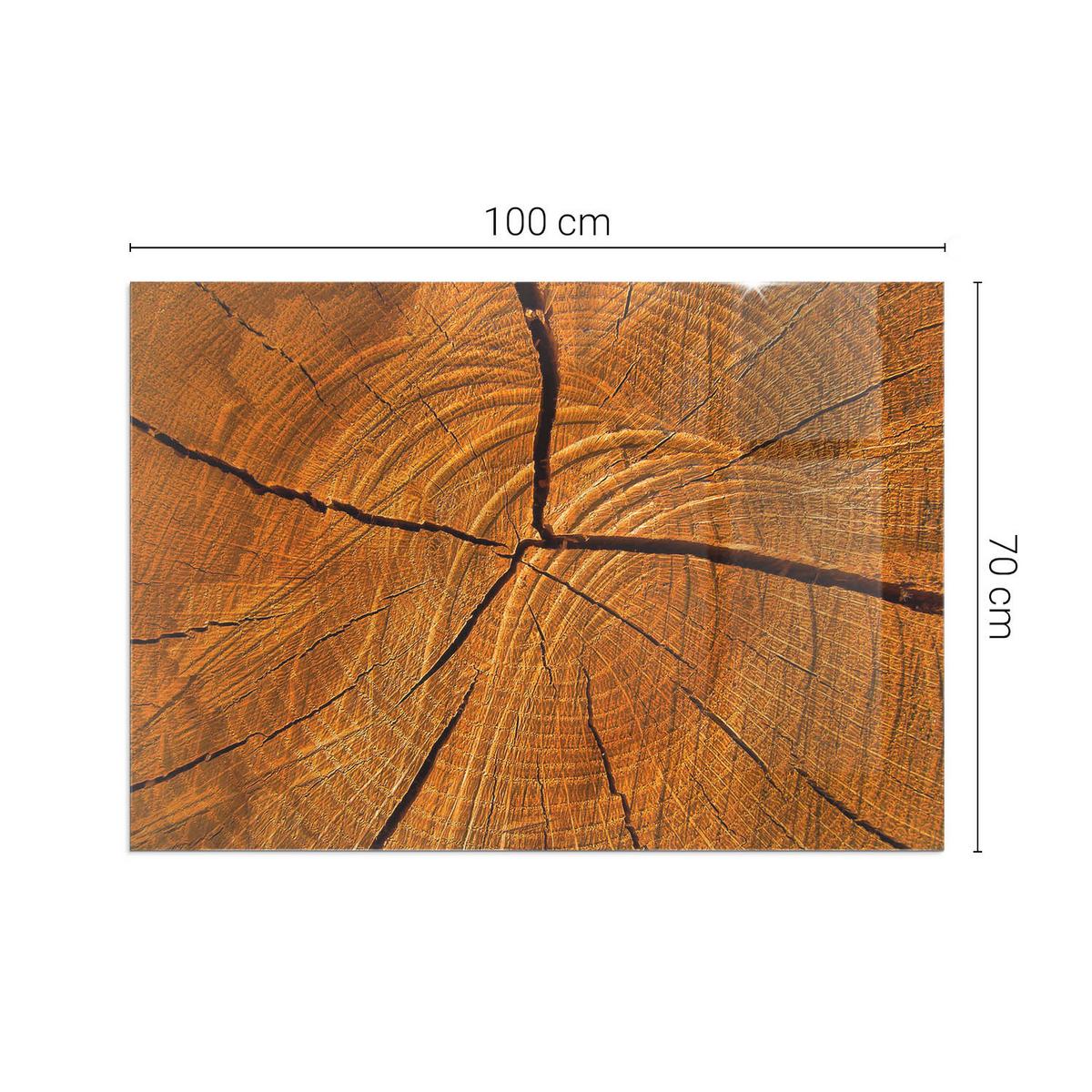 GLASPLATTE für Kamin 100x70 cm - Orange, Glas (100/70/0.4cm) - TULUP