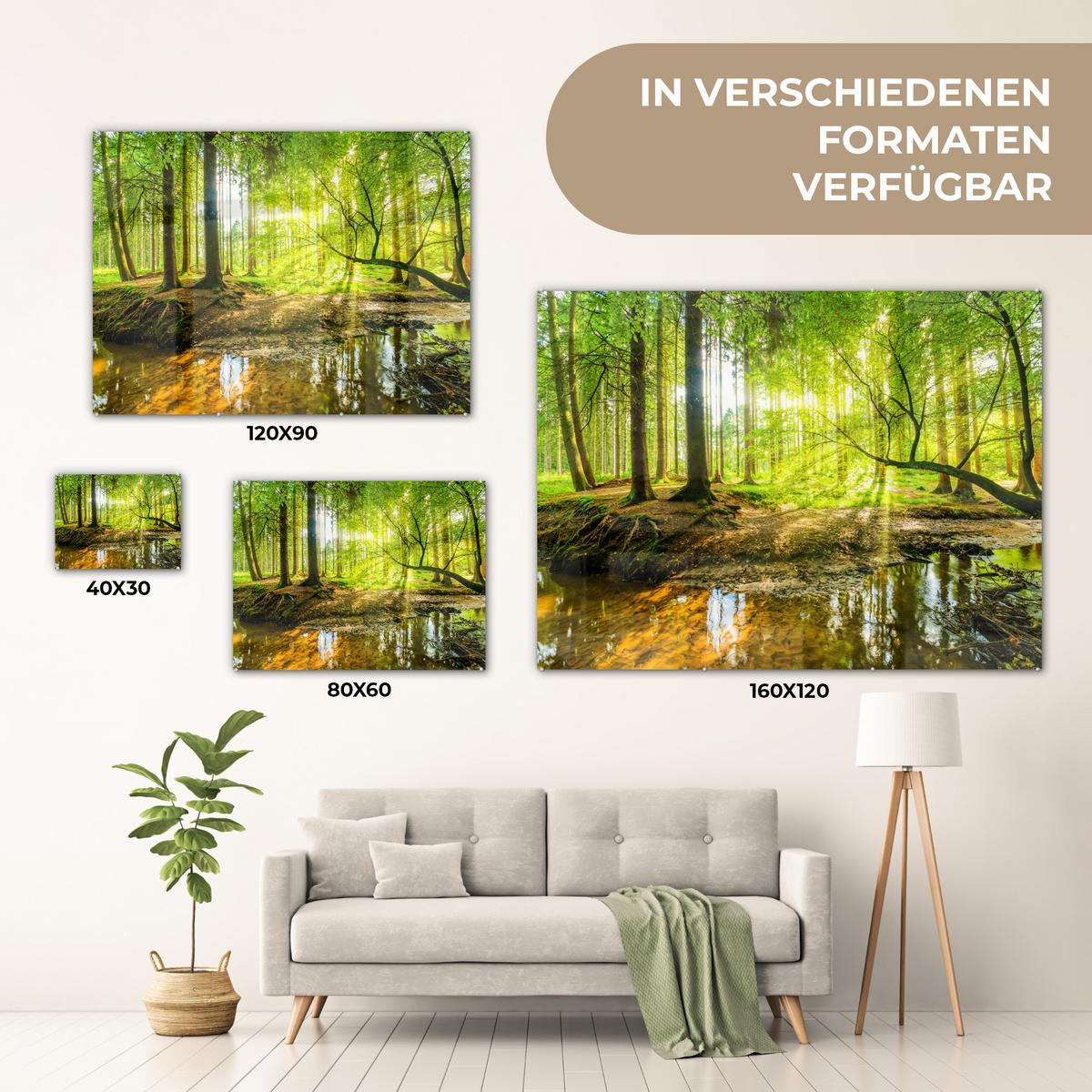 ACRYLGLASBILD Wald - Landschaft - Wasser - Bäume - Sonne - Grün - Natur 80x60 cm - Grün, Glas (80/60cm) - MuchoWow