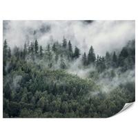 FOTOTAPETE für Schlafzimmer Morgennebel Nadelwald Bäume 350x256 - Weiß/Grau, Papier (350/256cm) - Muralo