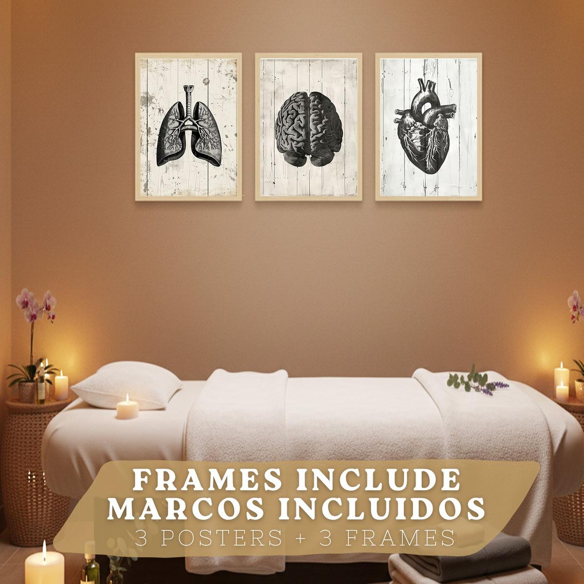 POSTER Set aus 3 Anatomie Mensch Drucke und mit Gehirn Herz Lungen Luftröhre Bronchien Industrielles Schwarz Weiß Design Größe Leichter Holzrahmen A4 - Beige, Papier (21/29.7/3cm) - Nacnic