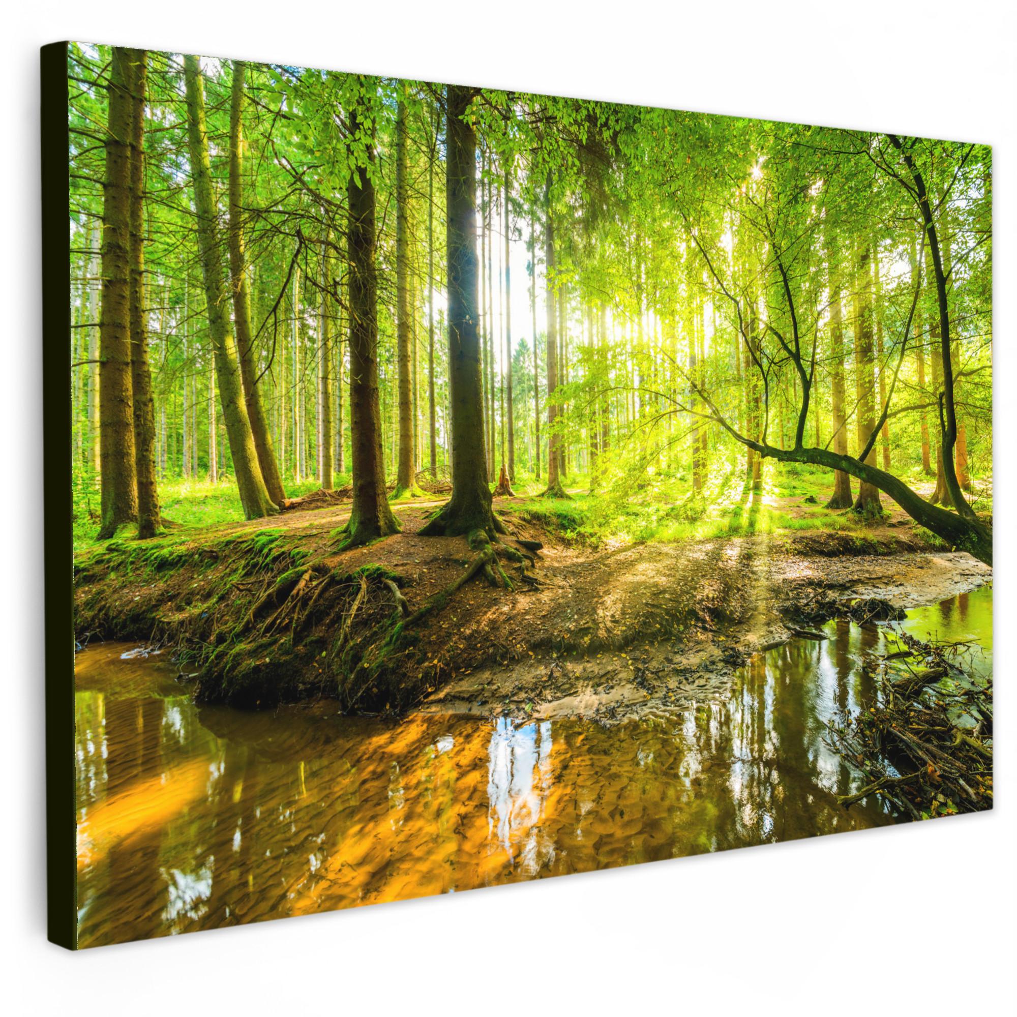 LEINWANDBILD Wald - Landschaft - Wasser - Bäume - Sonne - Grün - Natur Wohnzimmer Groß 120x80 cm - Grün, Textil (120/80cm) - MuchoWow