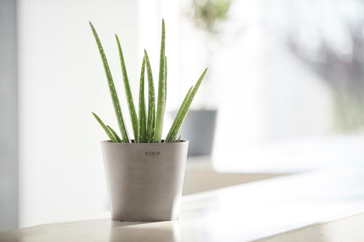 BLUMENTOPF Amsterdam 17/14,7 cm Taupe - Taupe, Kunststoff (17/14.7cm) - Ecopots
