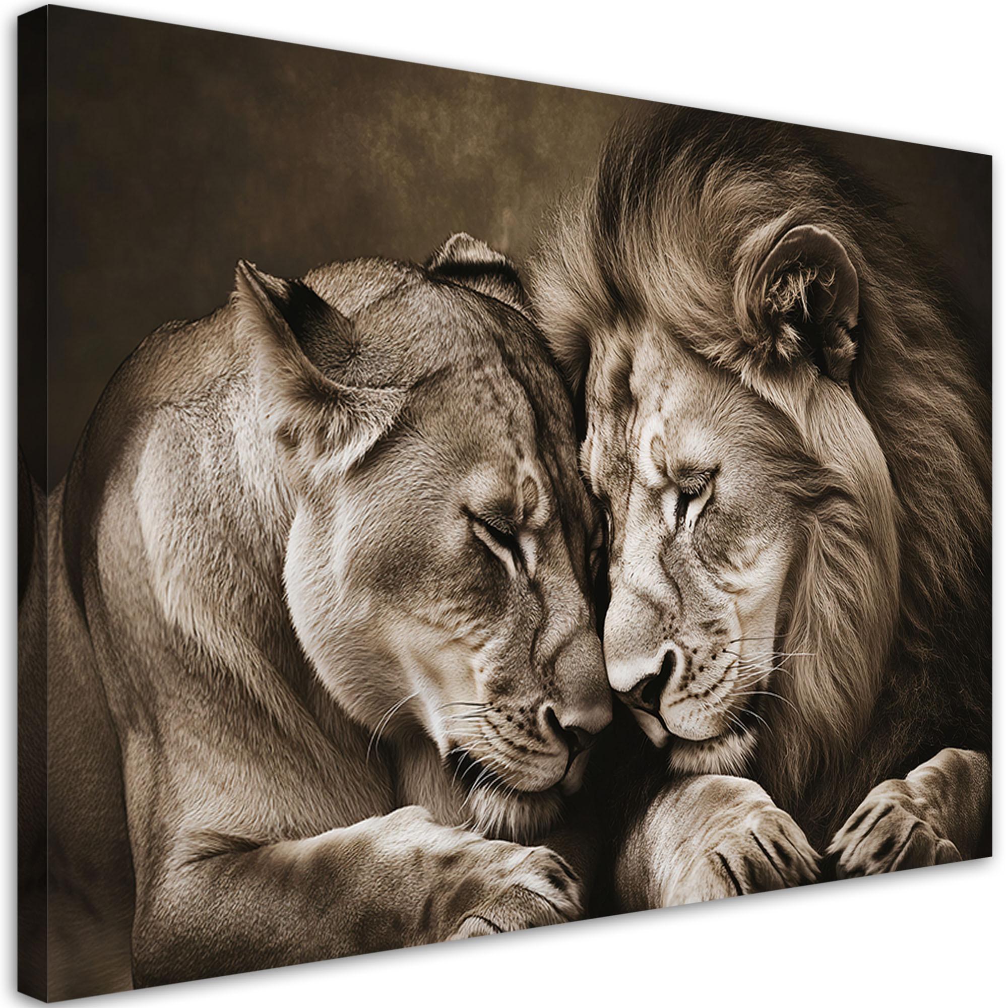 LEINWANDBILD, Löwe und Löwin Paar Tiere Natur - Braun, Textil (45/30cm) - Feeby