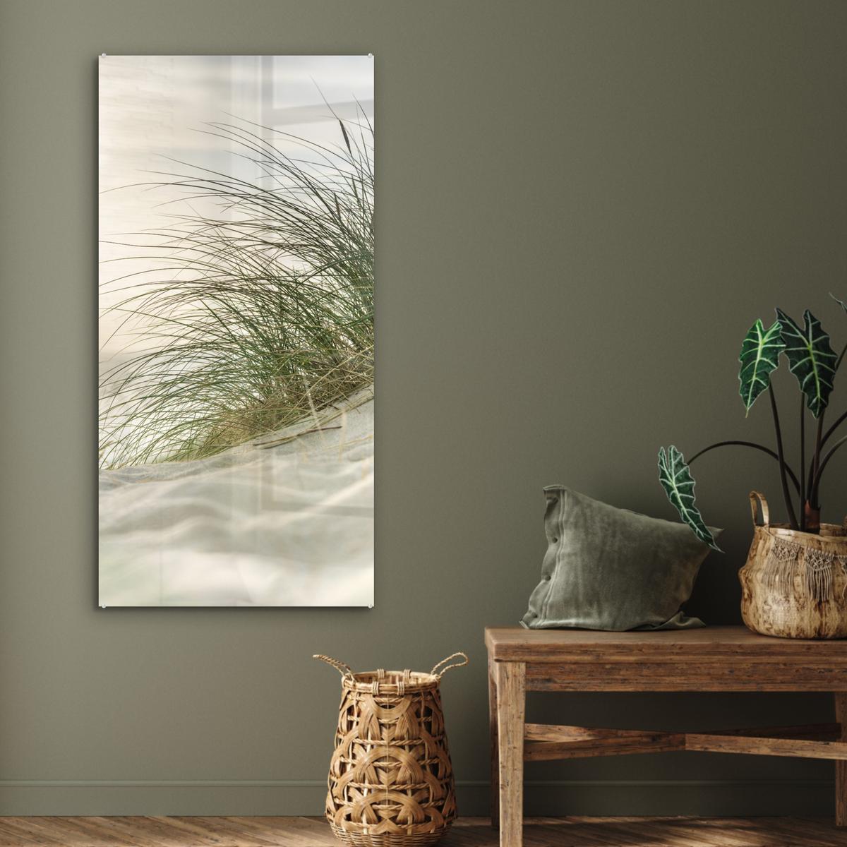 ACRYLGLASBILD Dünen mit Strandhafer in der Sonne des Nationalparks Schleswig-Holsteinisches Wattenmeer 60x120 cm - Creme, Glas (60/120cm) - MuchoWow