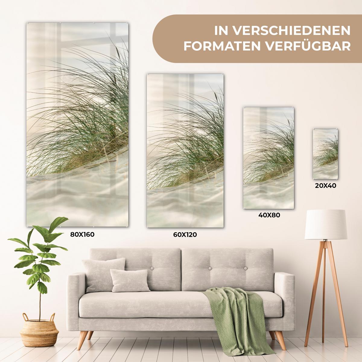 ACRYLGLASBILD Dünen mit Strandhafer in der Sonne des Nationalparks Schleswig-Holsteinisches Wattenmeer 60x120 cm - Creme, Glas (60/120cm) - MuchoWow