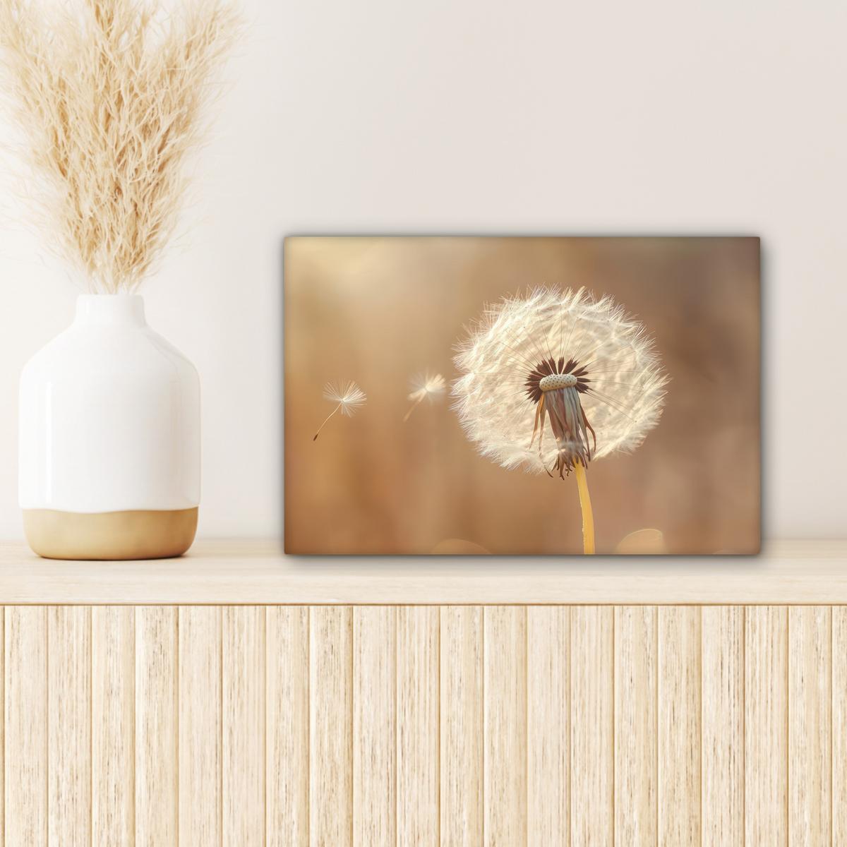 LEINWANDBILD Löwenzahn - Beige - Natur - Blume Deko Schlafzimmer 30x20 cm - Hellbraun, Textil (30/20cm) - MuchoWow