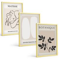 BILDER SET 3er Set - 40x60 cm Goldrahmen - Matisses stilvolle Pflanzenbilder - Goldfarben, Kunststoff (40/60cm) - TULUP
