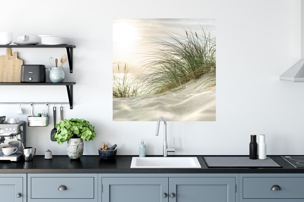 WANDTATTOO Dünen mit Strandhafer in der Sonne des Nationalparks Schleswig-Holsteinisches Wattenmeer Wanddeko 50x50 cm - Creme, Kunststoff (50/50/0.1cm) - MuchoWow