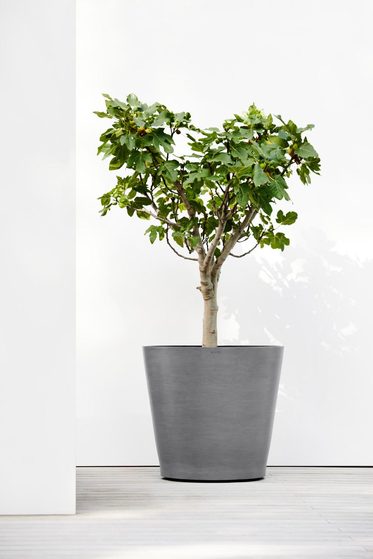 BLUMENTOPF Amsterdam Wheels 80/74,2 cm Grau - Grau, Kunststoff (80/74.2cm) - Ecopots