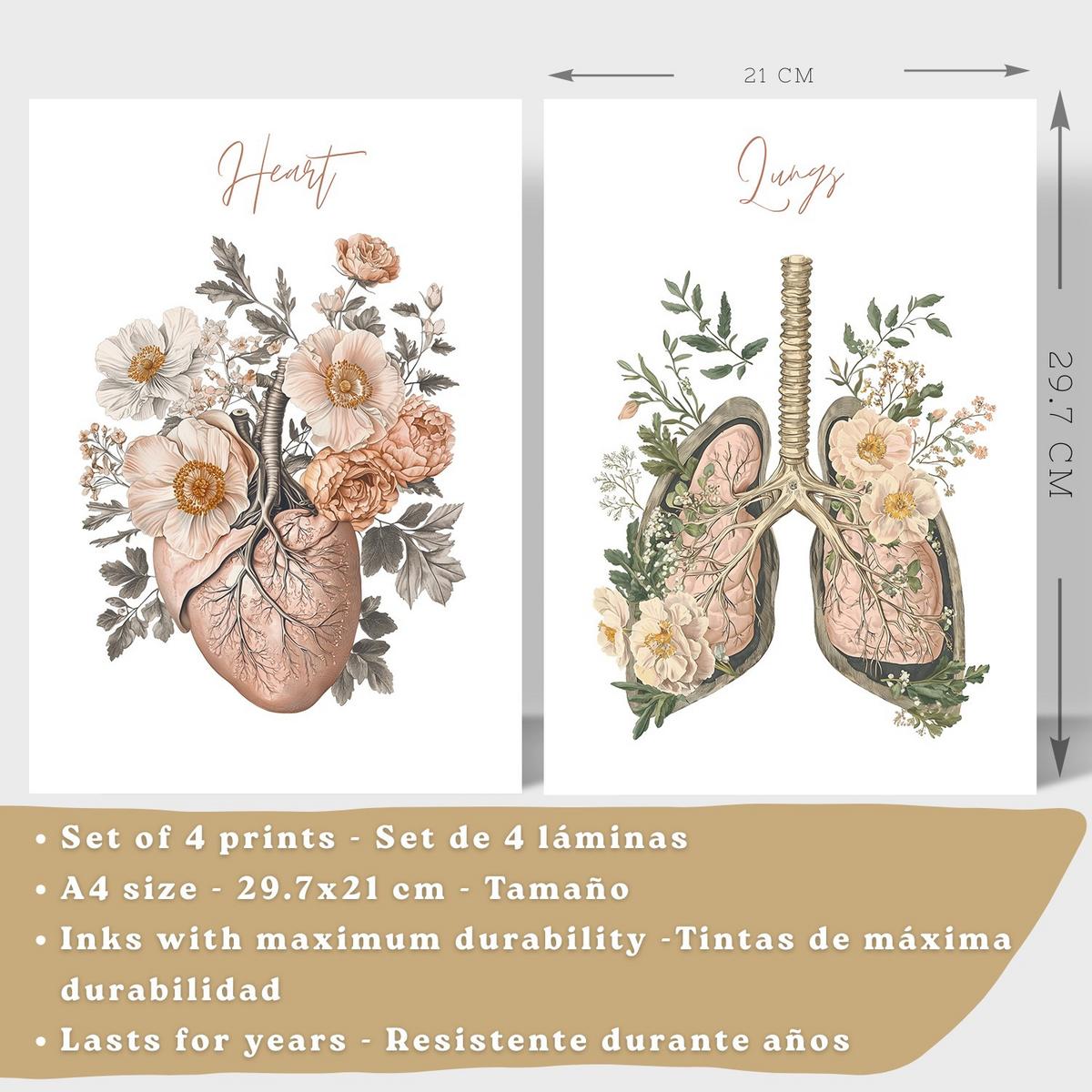 POSTER Set aus 4 Anatomie Mensch Florale Drucke und Wandbilder mit Herz Lungen Skelett und Schädel Stil Wanddekoration Größe Schwarzer Rahmen A4 - Schwarz, Papier (21/29.7/3cm) - Nacnic