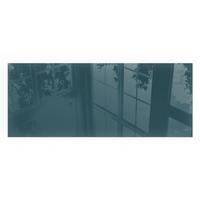 GLASPLATTE für Kamin 125x50 cm - Türkis, Glas (125/50/0.4cm) - TULUP