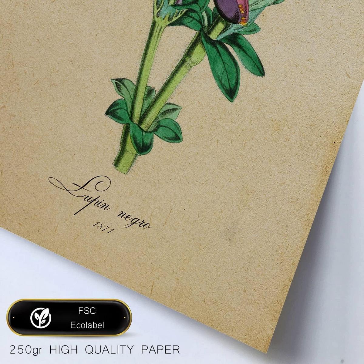 POSTER Set Mit 6 Vintage Blumen Sammlung Von Platten Mit Ästhetischer Collage Für Innendekoration A3 & A4 Rahmenlos - Klar, Papier (29/3cm) - Nacnic