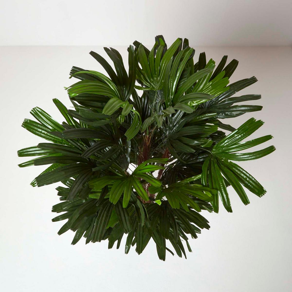 KUNSTPALME Rhapis, 150 cm - Grün, Kunststoff (150cm) - Homescapes