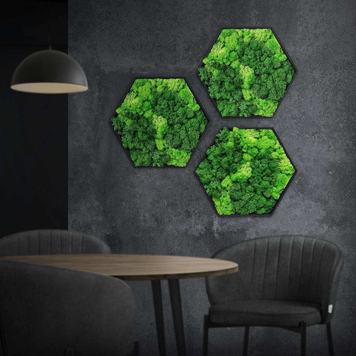 MOOSBILD Hexagon 38x34 cm Mooswand Indoor mit echtem Islandmoos und Holzrahmen Grün Pflegefrei - Hellgrün, Naturmaterialien (38/34/3.4cm) - ECD-Germany