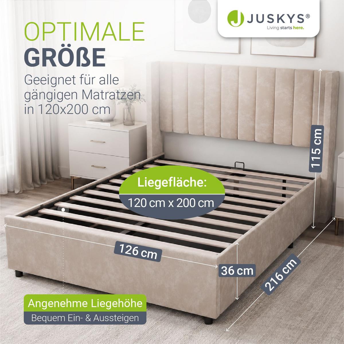 POLSTERBETT Savona beige 120 x 200 cm - Beige, Holzwerkstoff (120/200cm) - Juskys