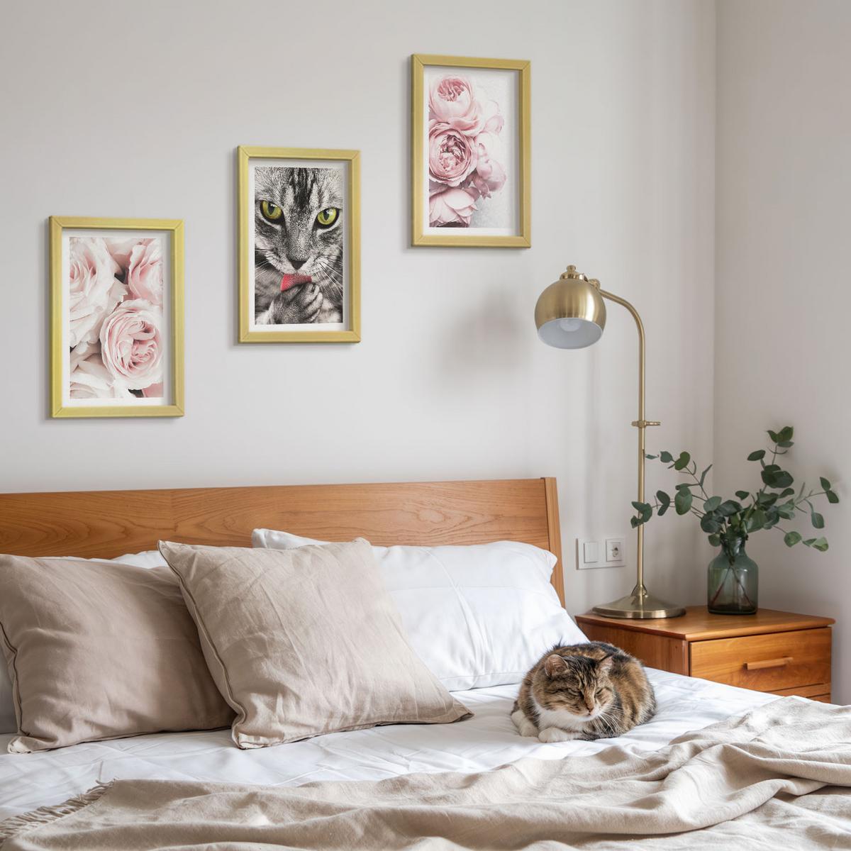 BILDER SET 3er Set - 20x30 cm Goldrahmen - Katze in rosa Blumen - Goldfarben, Kunststoff (20/30cm) - TULUP