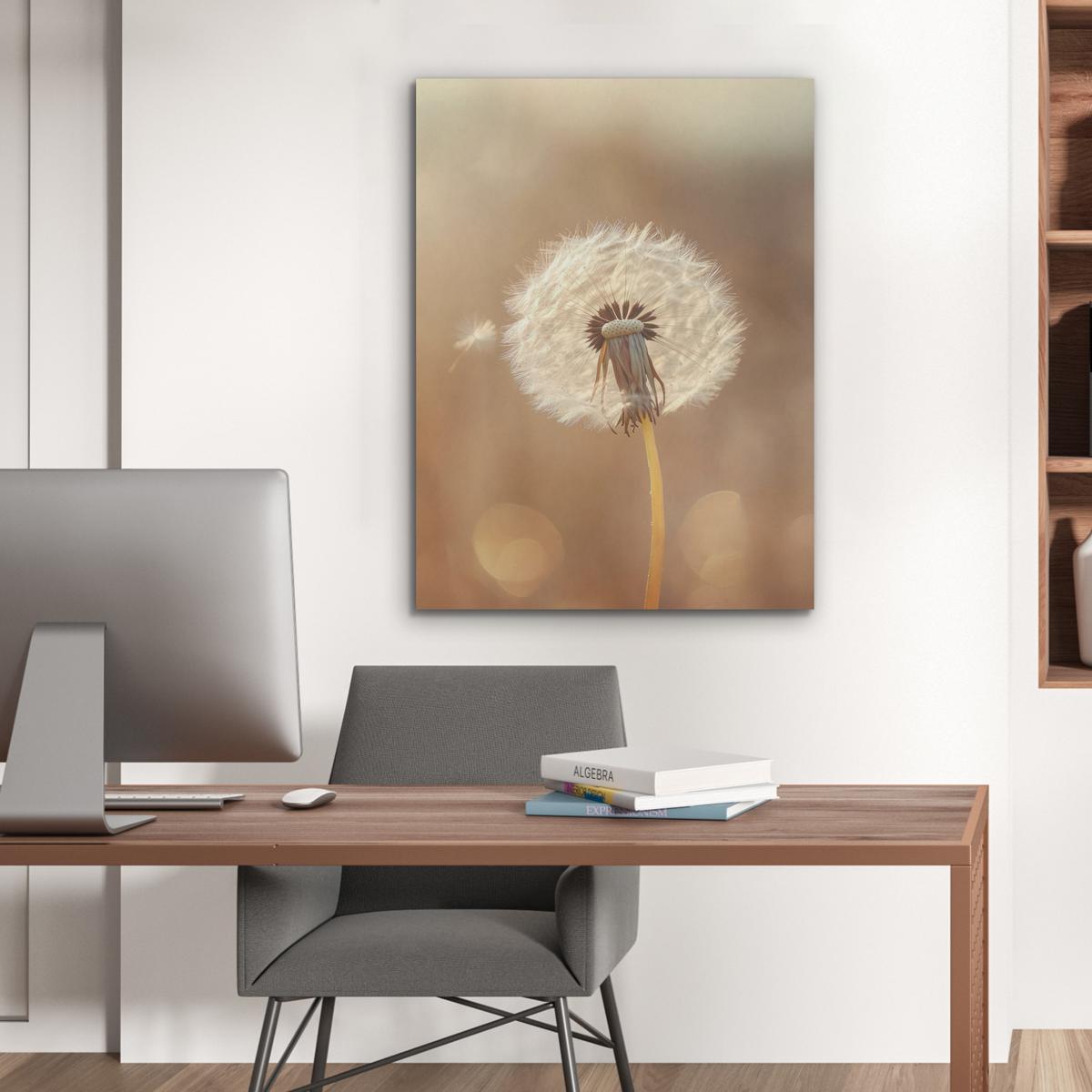 AKUSTIKBILD Löwenzahn - Beige - Natur - Blume Wandbilder 60x80 cm - Hellbraun, Kunststoff (60/80/0.9cm) - MuchoWow