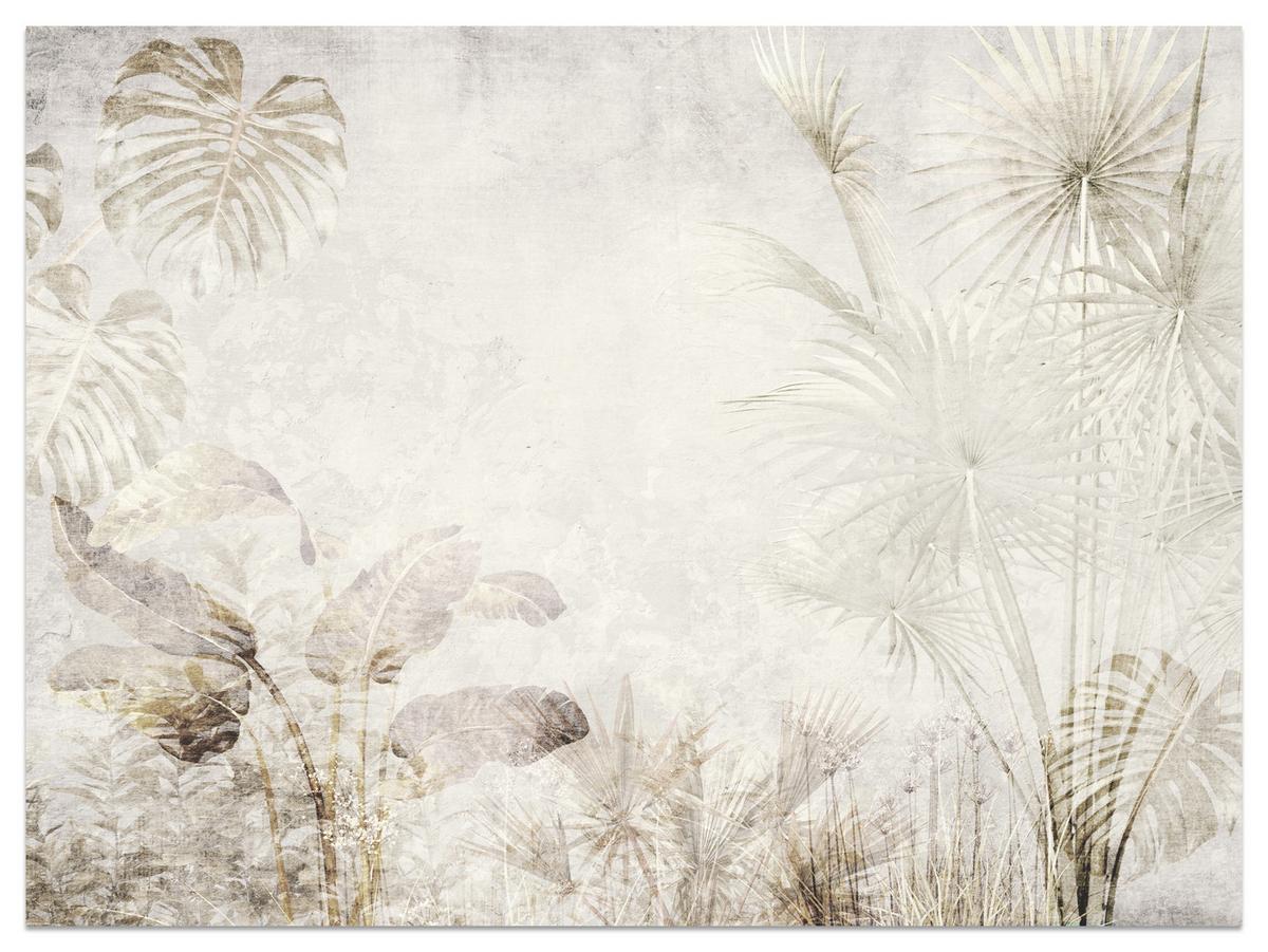 FOTOTAPETE für Wohnzimmer Tropisch Vintage Palmenblätter Beton 200x140 - Beige/Creme, Papier (200/140cm) - Muralo