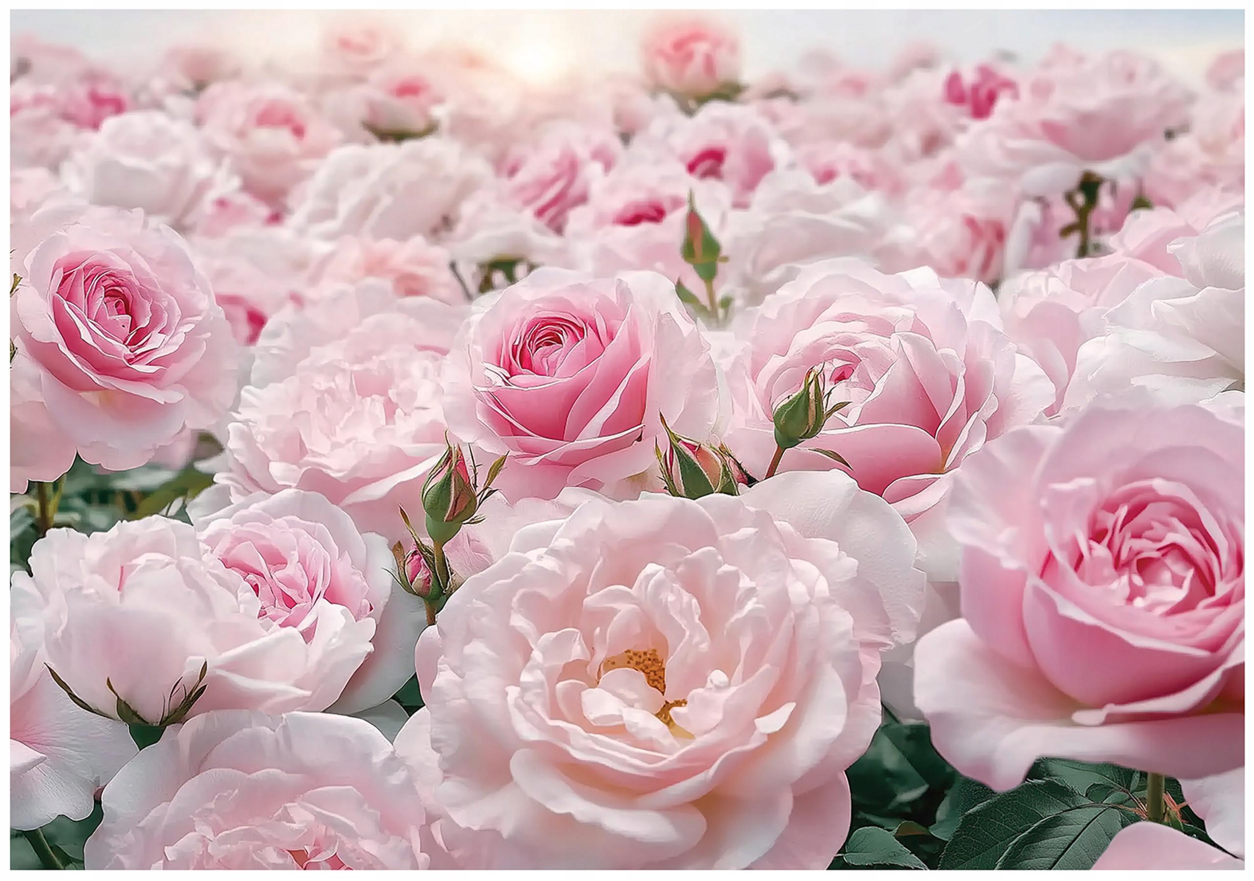 FOTOTAPETE Blumen Rosen Wohnzimmer Vlies Tapete 200x140 - Multicolor, Papier (200/140cm) - Wallarena