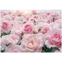 FOTOTAPETE Blumen Rosen Wohnzimmer Vlies Tapete 200x140 - Multicolor, Papier (200/140cm) - Wallarena