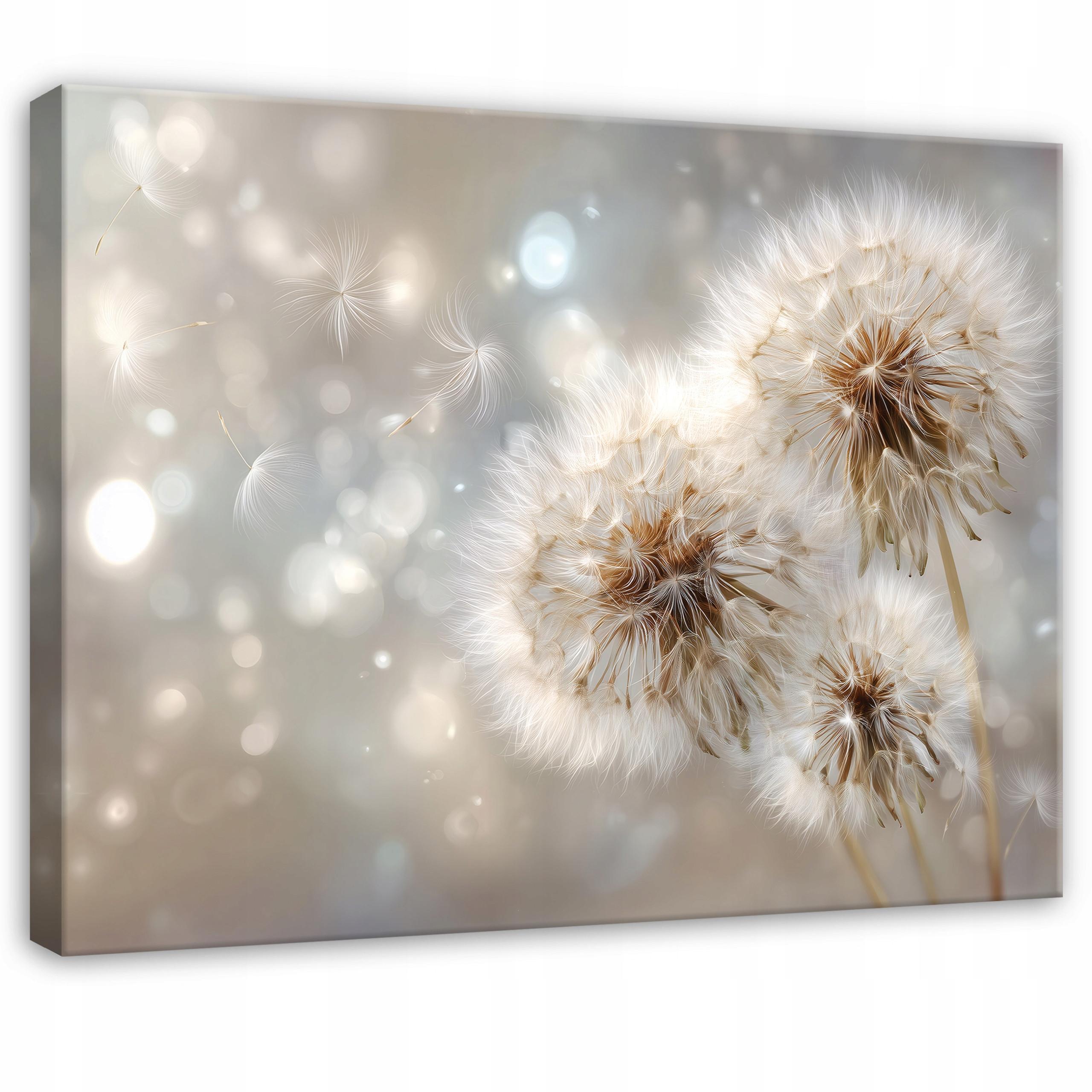 LEINWANDBILD Pusteblumen Blumen Beige 60x40 cm - Multicolor, Holzwerkstoff (60/40cm) - Wallarena