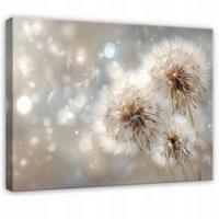 LEINWANDBILD Pusteblumen Blumen Beige 60x40 cm - Multicolor, Holzwerkstoff (60/40cm) - Wallarena