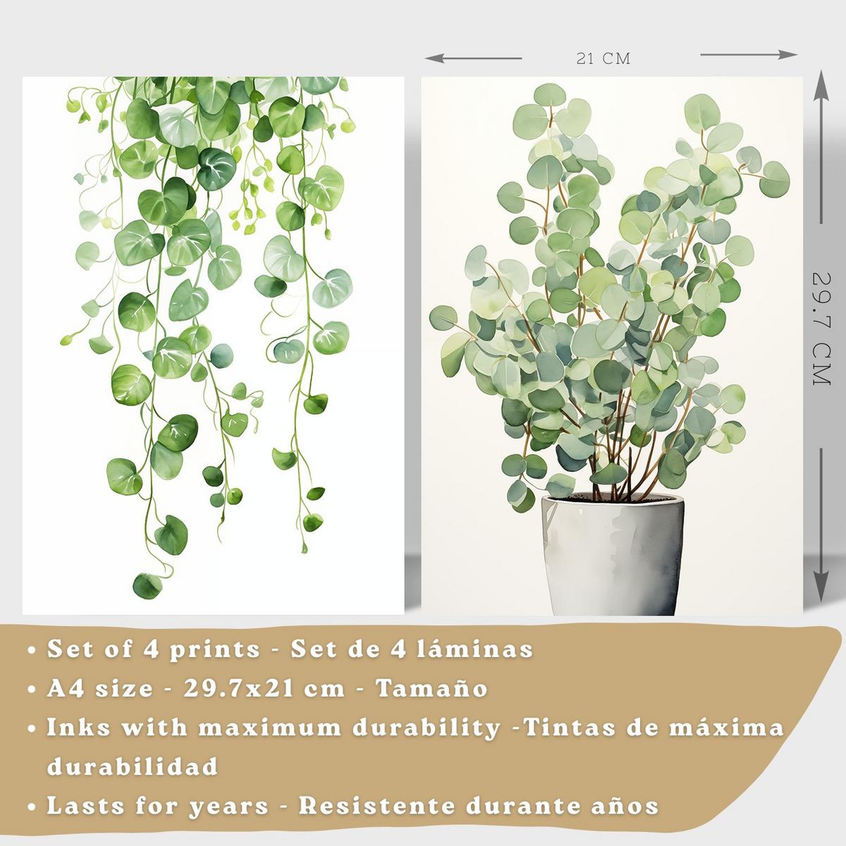 POSTER 4er Bilder-Set Wandbilder Boho Botanisch modern Wohnzimmer Deko, Schlafzimmer, Küche, Badezimmer Leichter Holzrahmen A4 - Beige, Papier (29.7/1/21cm) - Nacnic