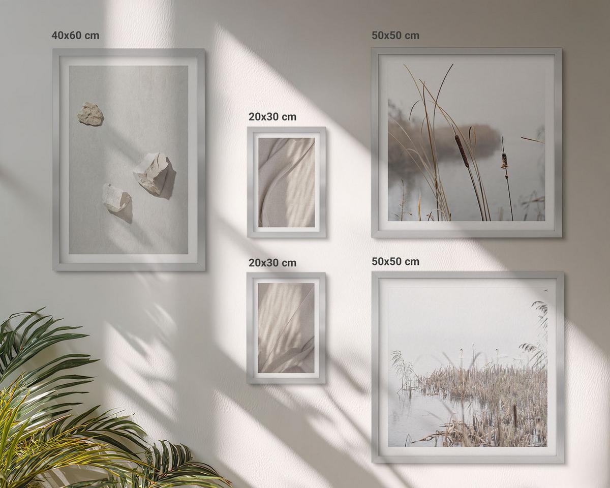BILDER SET 5er Set - 50x50 cm & 20x30 cm & 40x60 cm Silberner Rahmen - Nahaufnahmen der Struktur im Boho-Stil - Silberfarben, Kunststoff (40/60cm) - TULUP
