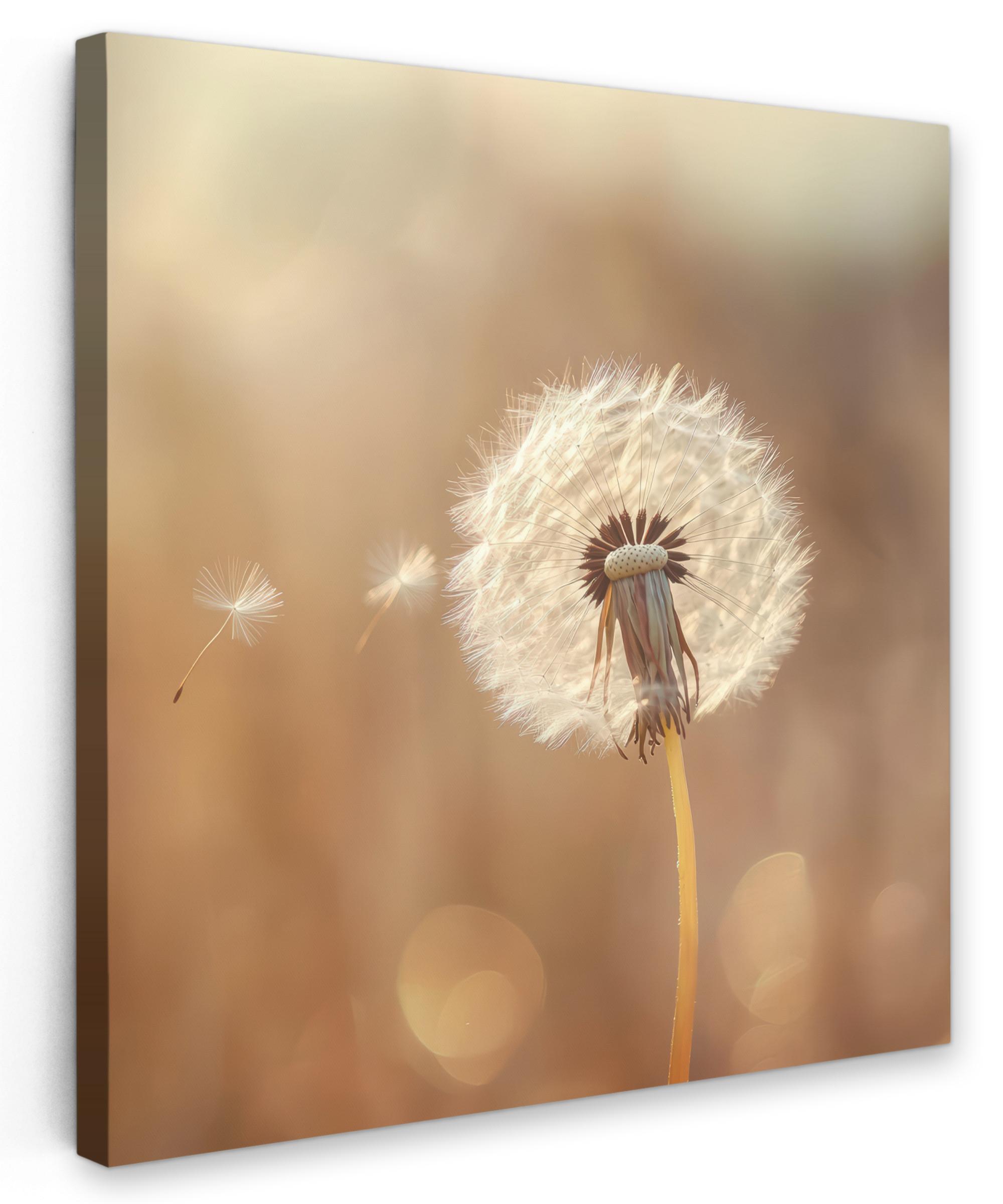 LEINWANDBILD Löwenzahn - Beige - Natur - Blume Deko Groß 90x90 cm - Hellbraun, Textil (90/90cm) - MuchoWow