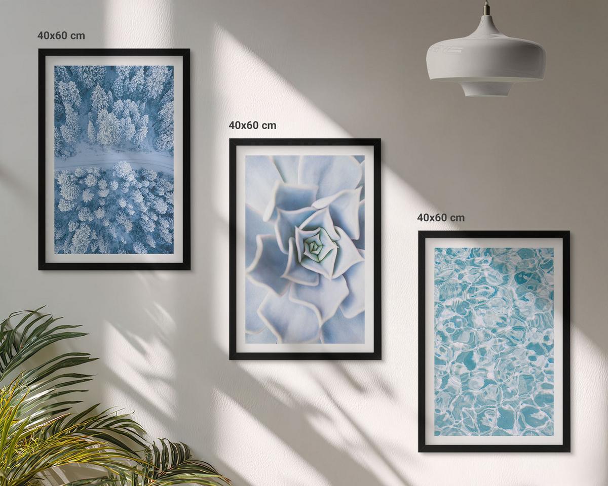 BILDER SET 3er Set - 40x60 cm Schwarzer Rahmen - Winterwald blaue Blume Wasser - Schwarz, Kunststoff (40/60cm) - TULUP