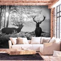 SELBSTKLEBENDE FOTOTAPETE 147/105 cm - Schwarz, Kunststoff/Textil (147/1cm) - KUNSTLOFT