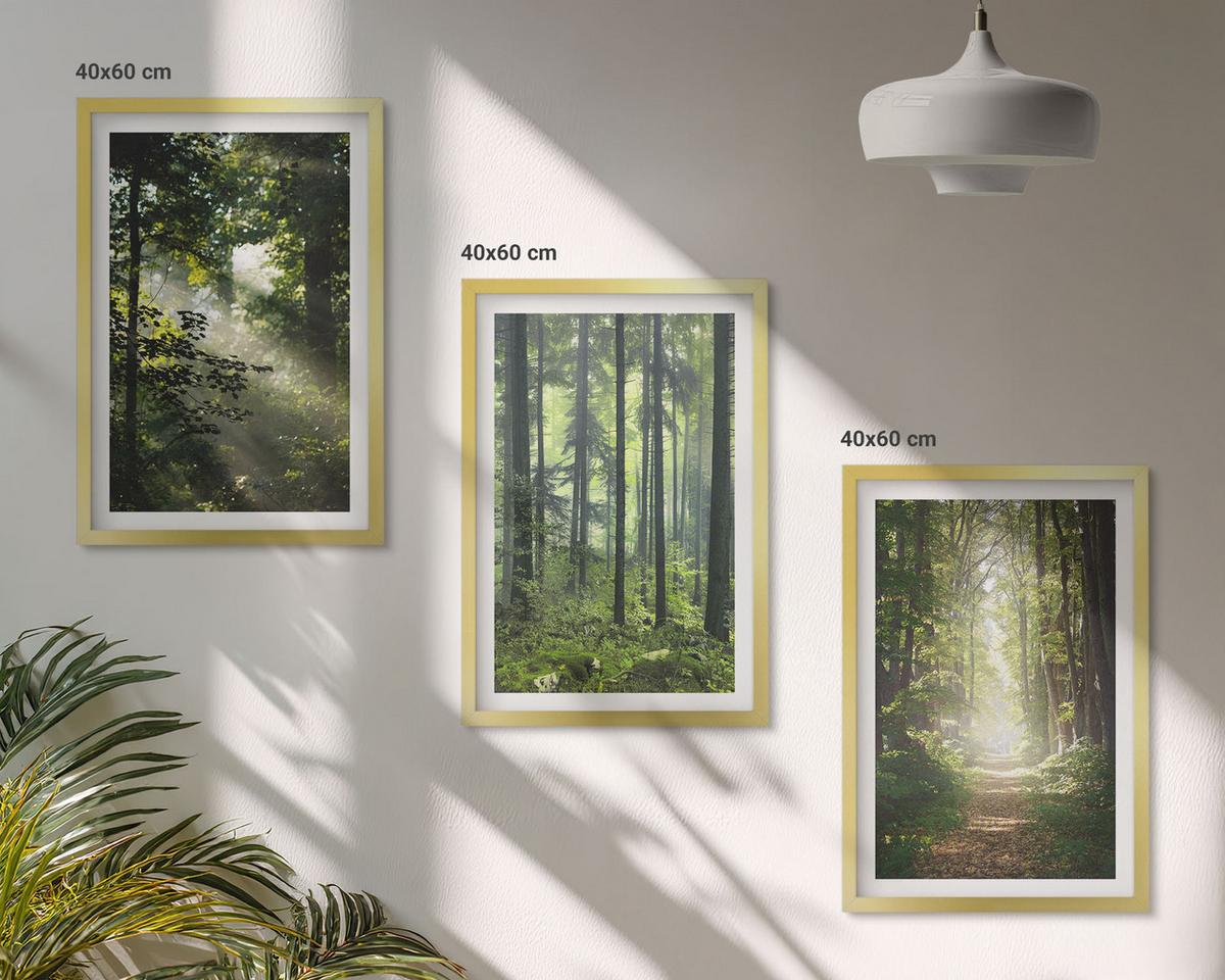 BILDER SET 3er Set - 40x60 cm Goldrahmen - Grüne Wälder mit Lichtstrahlen - Goldfarben, Kunststoff (40/60cm) - TULUP