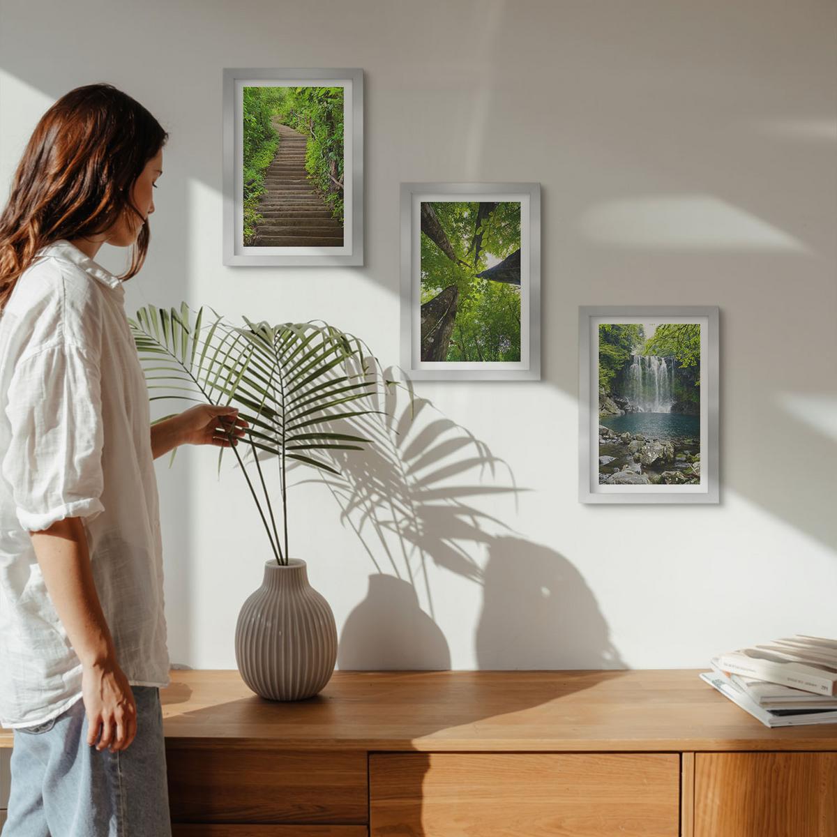 BILDER SET 3er Set - 20x30 cm Silberner Rahmen - Pfad Wald Wasserfall Vegetation - Silberfarben, Kunststoff (20/30cm) - TULUP