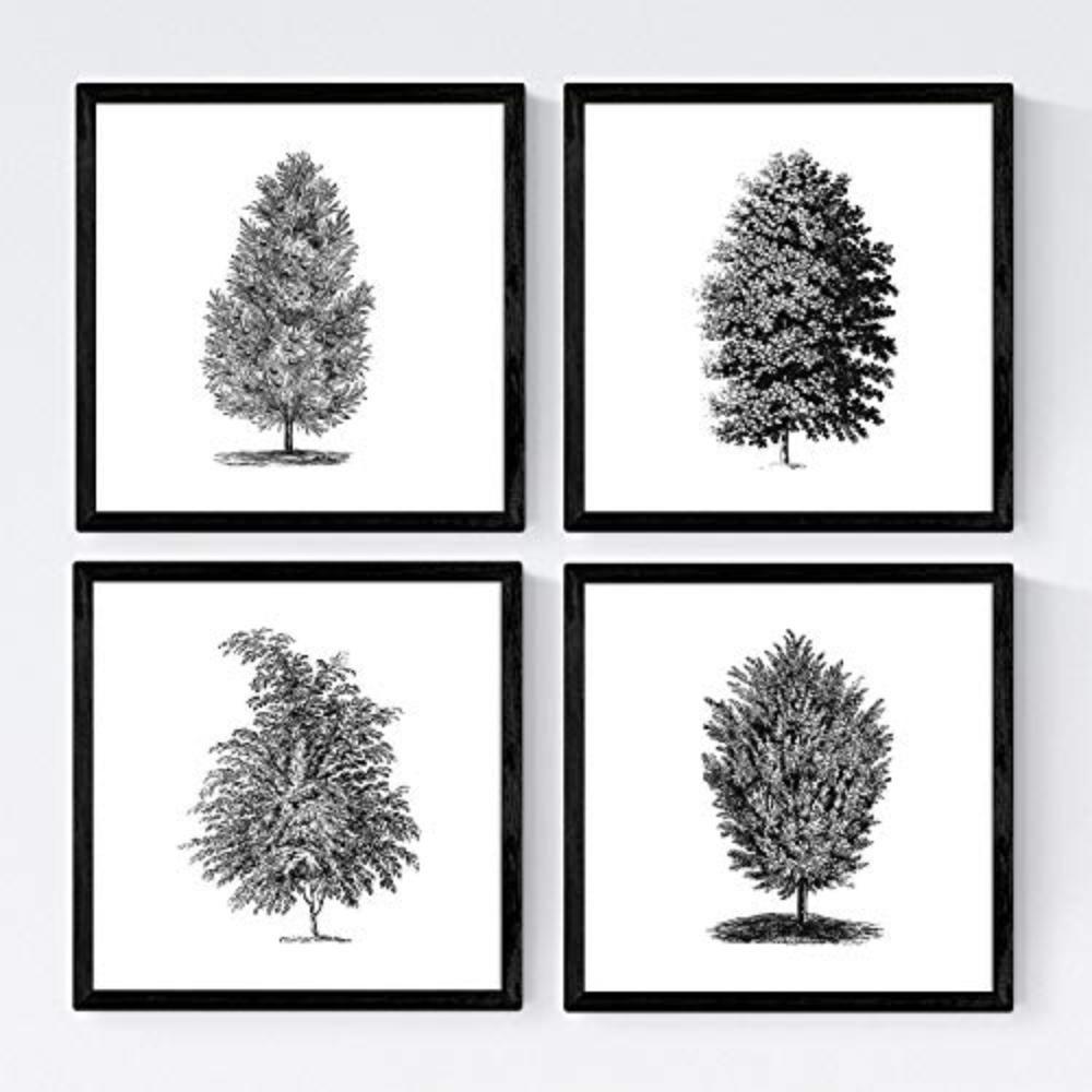 POSTER Set mit 4 Blättern der Bäume sehr fondosos, weiß 20x20cm Schwarzer Rahmen - Schwarz, Papier (20/3cm) - Nacnic