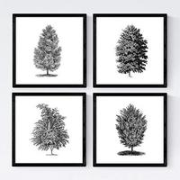POSTER Set mit 4 Blättern der Bäume sehr fondosos, weiß 20x20cm Schwarzer Rahmen - Schwarz, Papier (20/3cm) - Nacnic