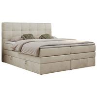 BOXSPRINGBETT LUKA KING 180/200 Beige Velvet - H3 - Beige, Holz/Textil (180/200cm) - MKS