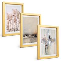BILDER SET 3er Set - 20x30 cm Goldrahmen - Abstrakte Vegetationsmuster - Goldfarben, Kunststoff (20/30cm) - TULUP