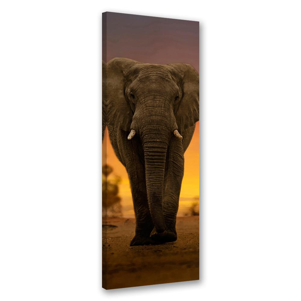WANDBILD elefant in der wüste - Braun, Textil (30/90cm) - Feeby