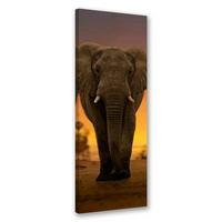 WANDBILD elefant in der wüste - Braun, Textil (30/90cm) - Feeby