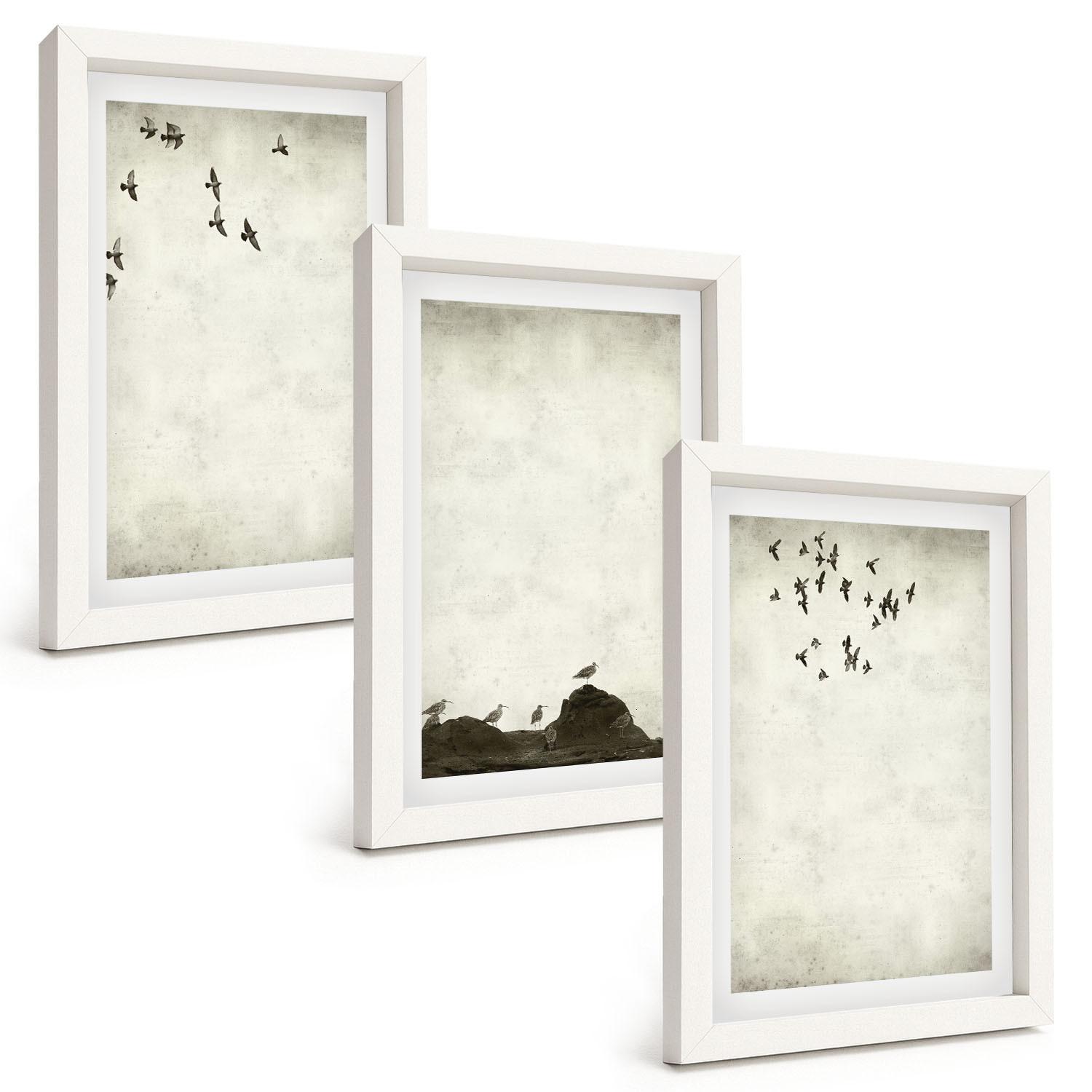 BILDER SET 3er Set - 20x30 cm Weißer Rahmen - Fliegende Vögel Minimalismus - Weiß, Kunststoff (20/30cm) - TULUP