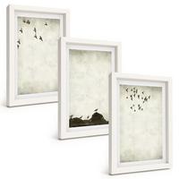 BILDER SET 3er Set - 20x30 cm Weißer Rahmen - Fliegende Vögel Minimalismus - Weiß, Kunststoff (20/30cm) - TULUP
