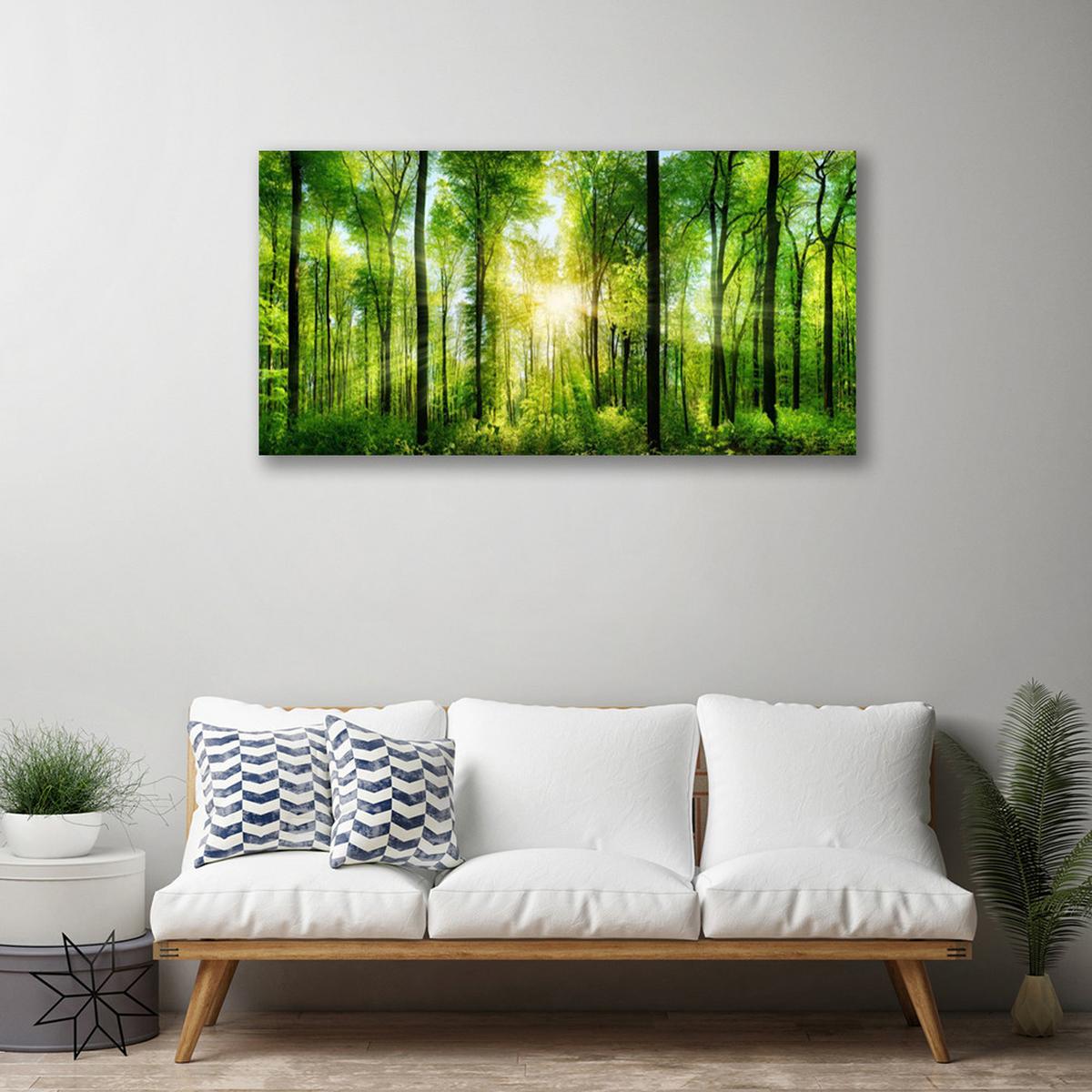 LEINWANDBILD 100x50 cm Sonnenstrahlen im Wald - Braun/Grün, Textil (100/4cm) - TULUP