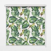INNENROLLO - Fensterrollo - Rollo - 150x180 cm - Tropische Pflanzen - Grün, Kunststoff (150/180/0.5cm) - TULUP