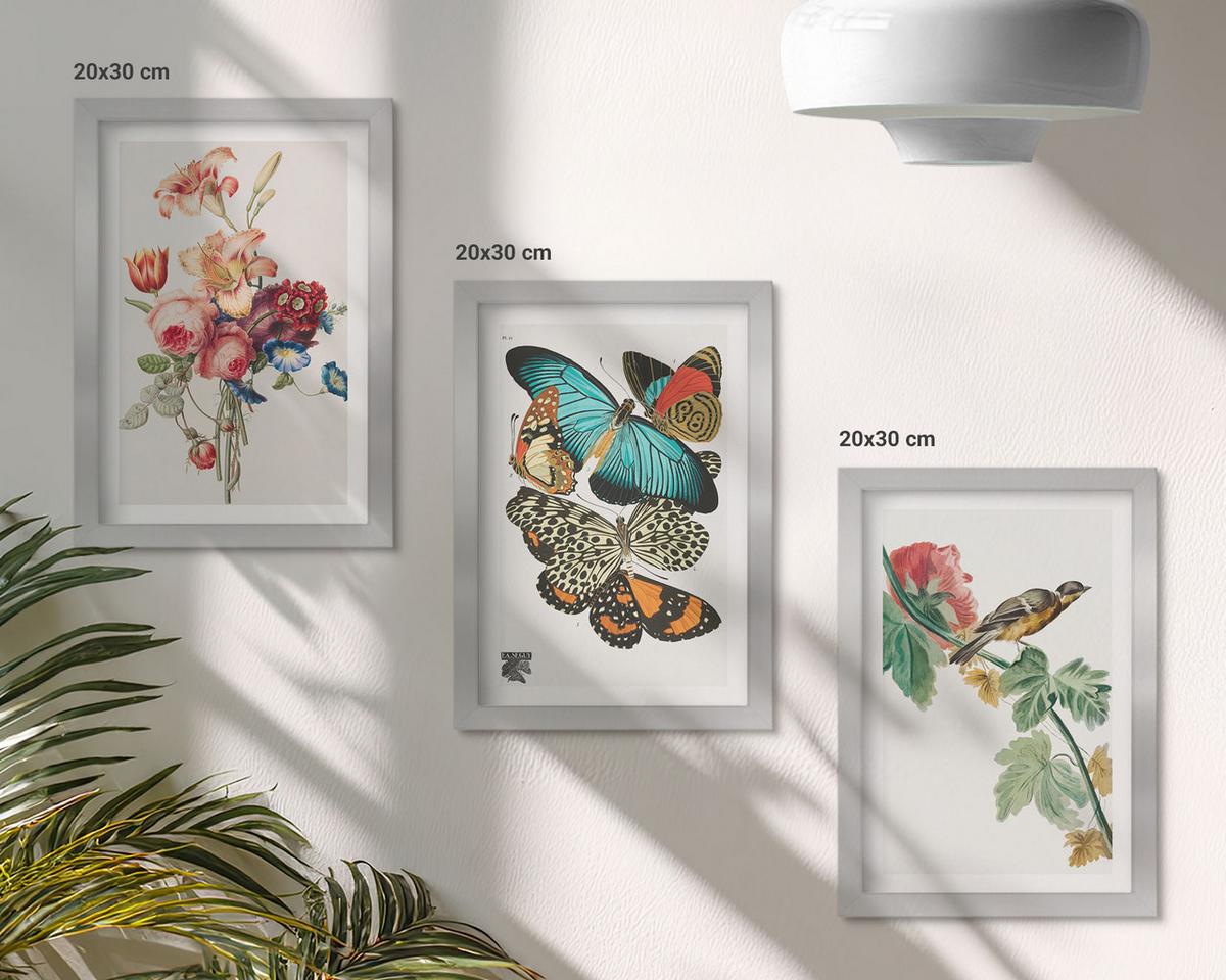 BILDER SET 3er Set - 20x30 cm Silberner Rahmen - Blumen, Schmetterlinge, Vögel, Pastellfarben - Silberfarben, Kunststoff (20/30cm) - TULUP