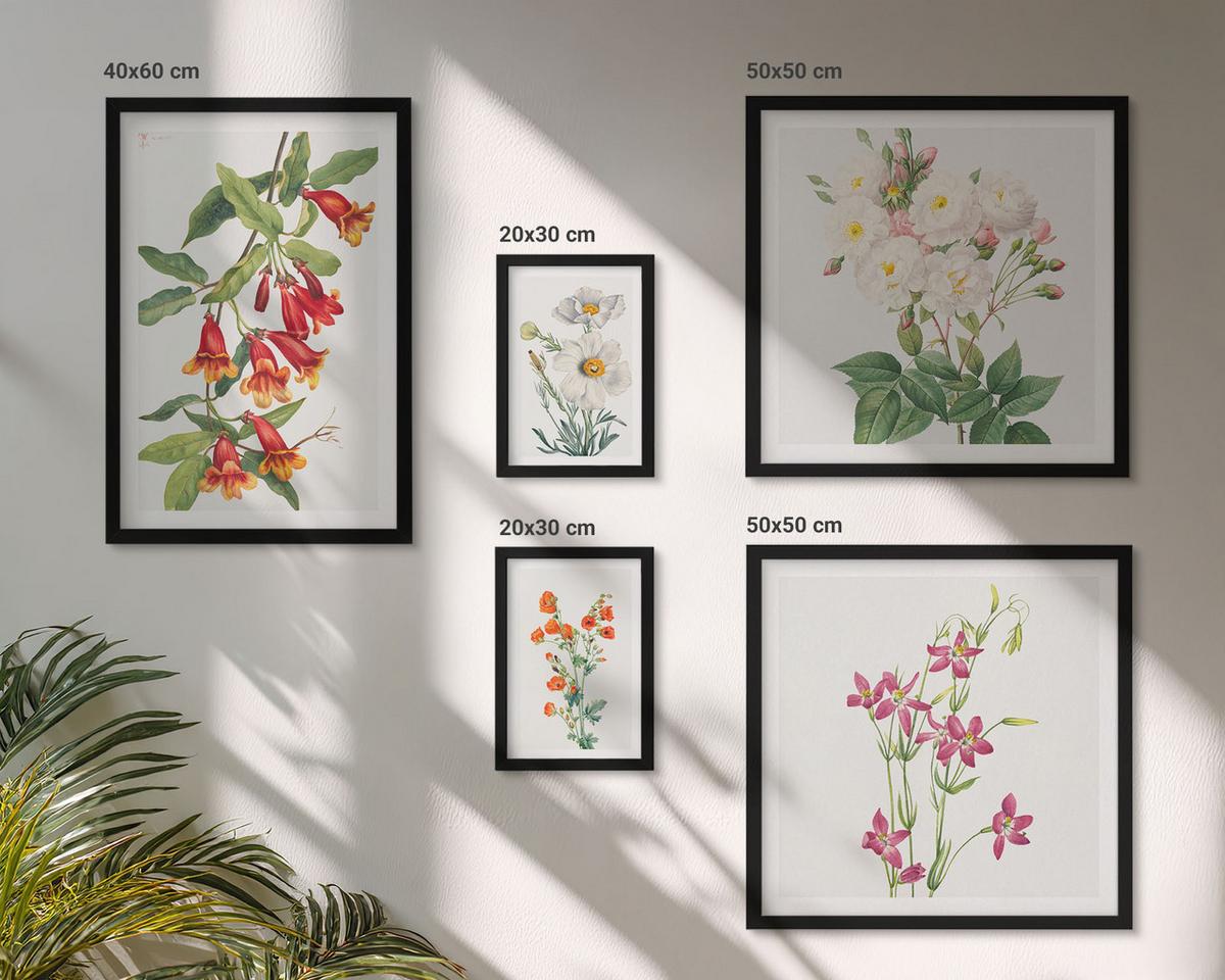 BILDER SET 5er Set - 50x50 cm & 20x30 cm & 40x60 cm Schwarzer Rahmen - Retro-Blumenmalerei - Schwarz, Kunststoff (40/60cm) - TULUP