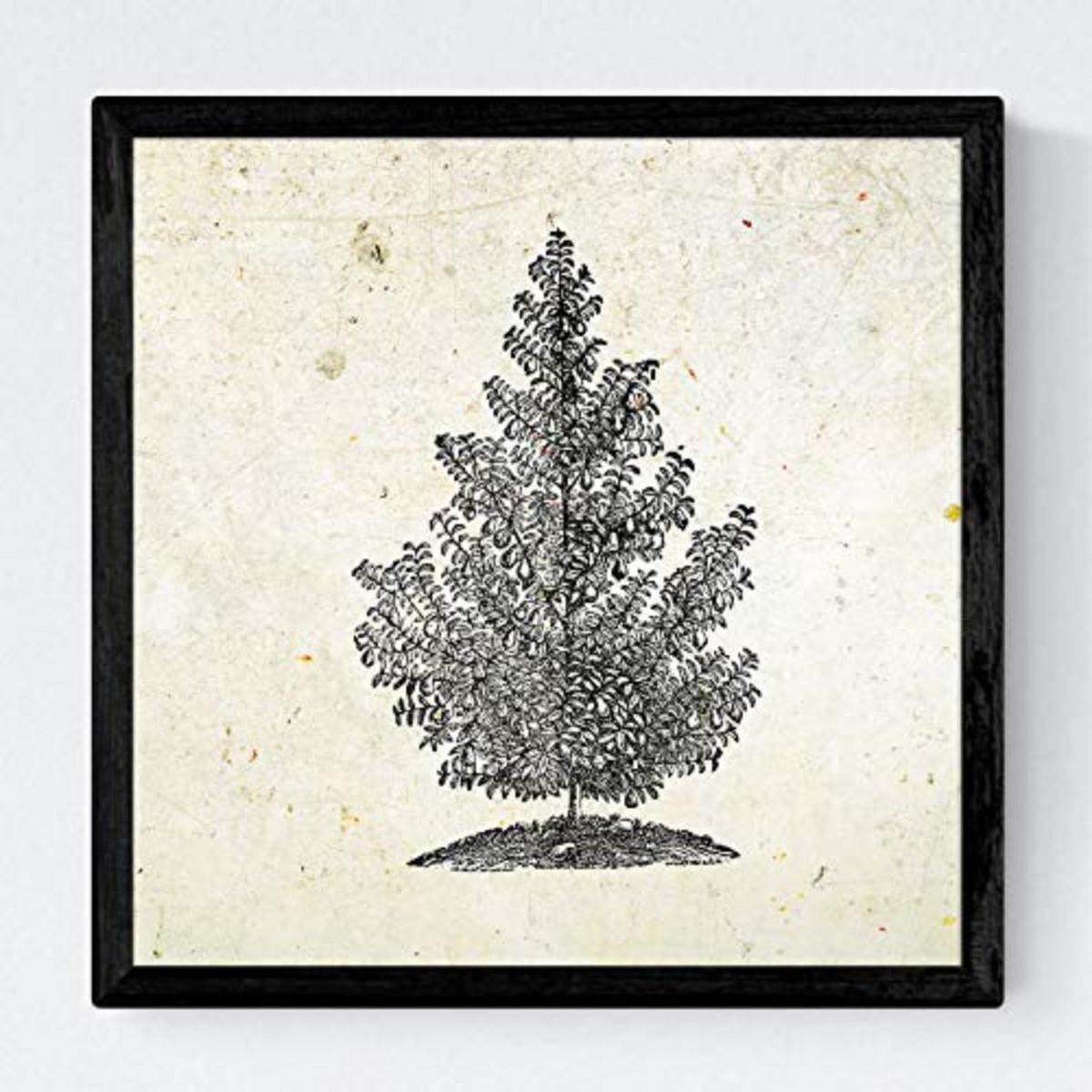 POSTER Set mit 4 Blättern der Baumstamm in halben alten Papierhintergrund 20x20cm Schwarzer Rahmen - Schwarz, Papier (20/3cm) - Nacnic